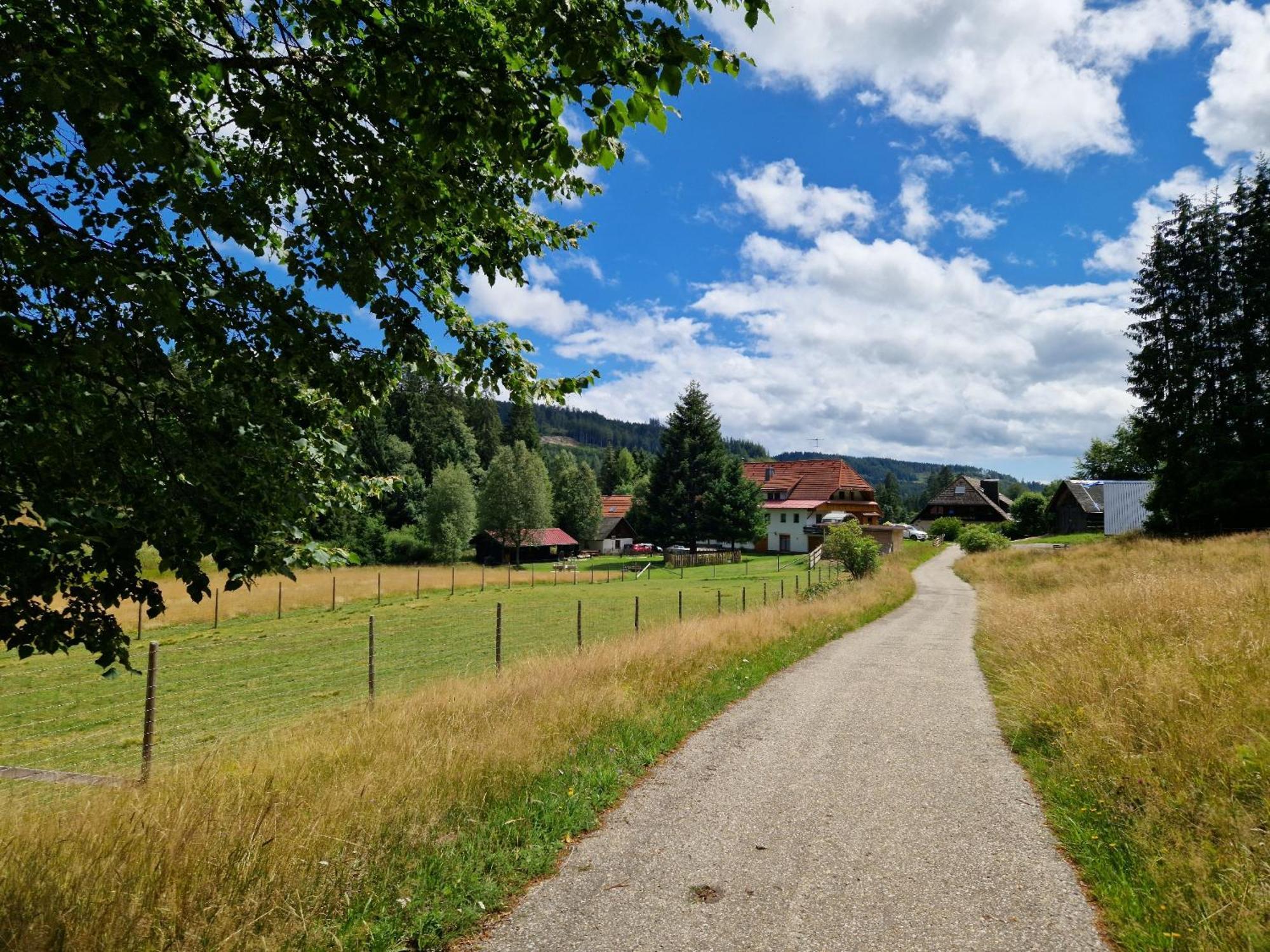 Altes Zollhuesli Villa Schluchsee Exterior photo